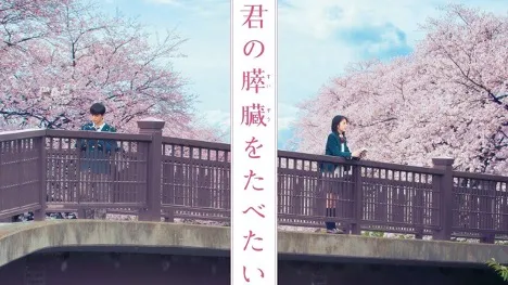 i want to eat your pancreas_