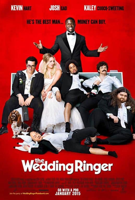 The Wedding Ringer [2015]