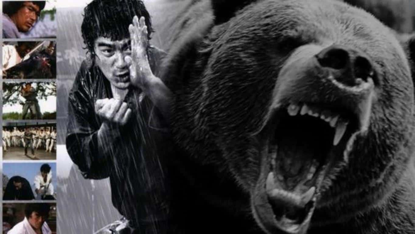 Karate Bear Fighter (1975)
