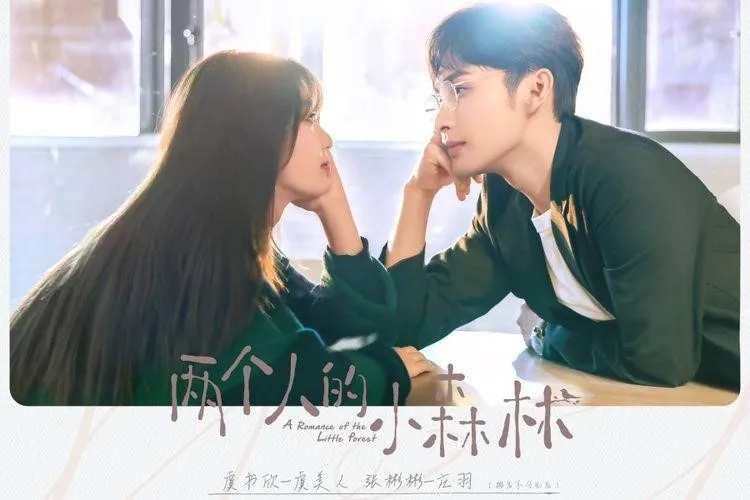 drama mandarin romantis komedi_A Romance of the Little Forest_
